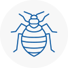 Bed Bug Extermination In Widnes